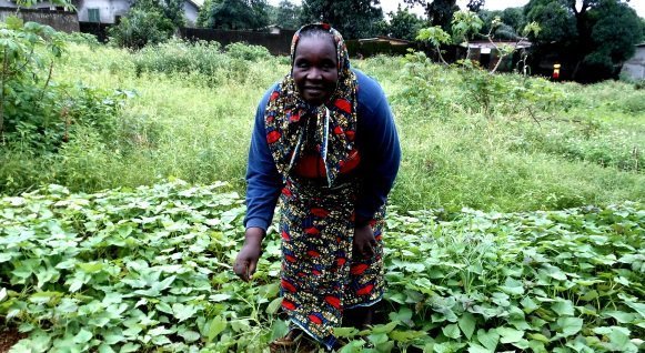 Personas y entorno de los proyectos de GUINEAR