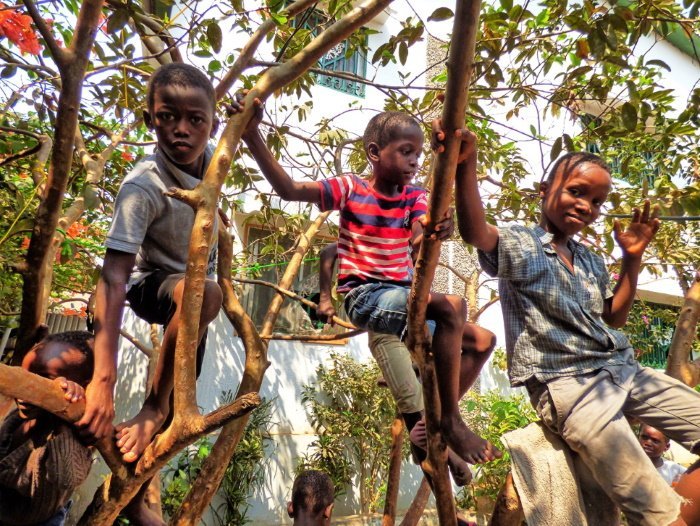 Un día en Hakuna Matata